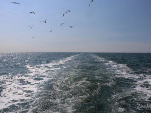 UA260509 Dagtocht Zeevissen ZEEVISSEN 29.JPG